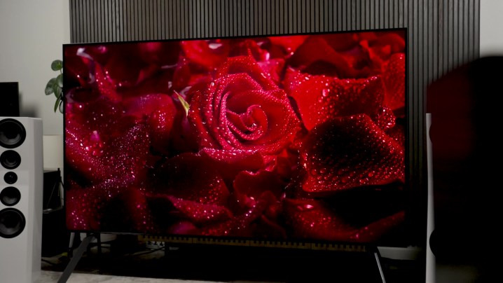 TCL QM89 115-inch