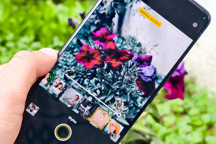 I’ve tested the best camera phone for $400 6 Preset color filters on Vivo V50.