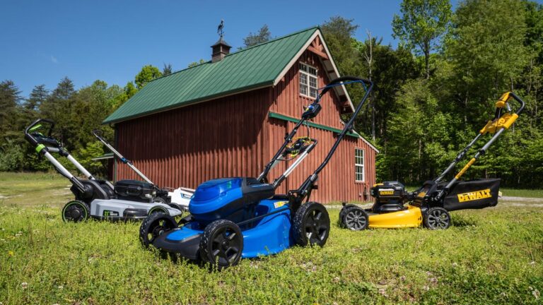 The best electric lawn grass cutting machine you can buy in 2025